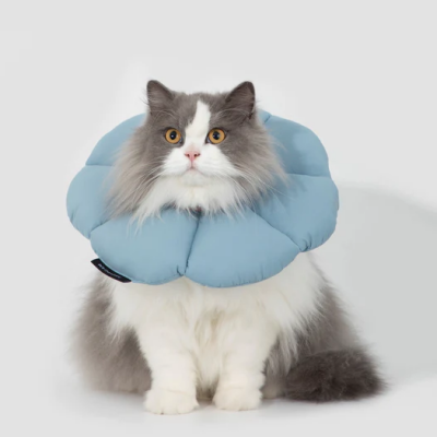 Elizabethan e Collar for Cats Anti-Bite Lick Wound Healing Safety Cat Recovery Collar