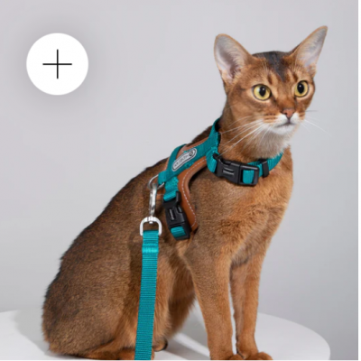 Leather Patchwork Cat Vest Cat Harness And Leash Set Escape Proof Kitten Harness