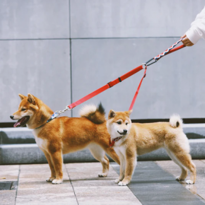 Multi-Functional Leashes For Use With Walking Multiple Dogs