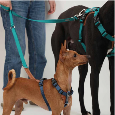 Dog Harness and Leash No Pull Comfortable puppy Leash Suitable Walking and Training