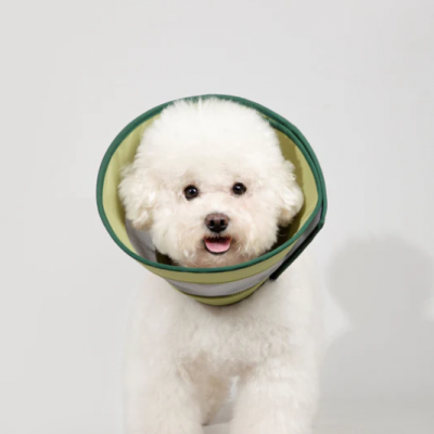 Pet Collar Anti-bite Collar Anti Scratch Neck Circle Cone for Dogs after Surgery Pet Neck Circle Cat Cone - 副本